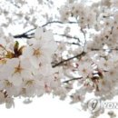 나드리세탁 이미지