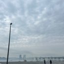 알마인테리어 | 마린시티 신상카페 카페 알마(ALMA) 후기｜유럽풍 인테리어·광안대교 뷰