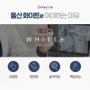 275치과의원 네이버블로그