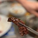 우정원 카카오 검색결과