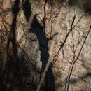 대곡양곡 이미지