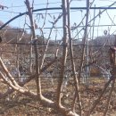 애자농장 이미지