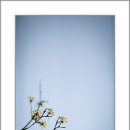 산본중앙공원 이미지