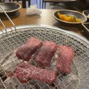 제주 성산 한우맛집 머클랑 내돈내산후기