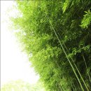 산들산들 민박 이미지