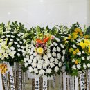 강원장의사 이미지