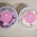 그릭요거트 대전맛집 요거트 퓨레, 딸기&amp;블루베리맛 솔직후기