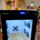 위드펫(with pet) 이미지