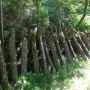 송원농장 이미지