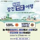 💰시댁 고향 내려가는 김에 들렸던 강진 반값여행 사전 신청 및 정산 후기💰