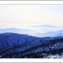 건강한생활 이미지