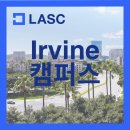 얼바인 티스토리