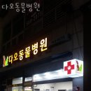 다오동물병원 네이버블로그
