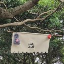 (주)명품제주점 | 블챌 14주차 - 주2일제(ft. 가을 제주)