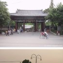 사진으로 남아있는 2001년 서울 광진구 군자동 풍경 (bgm) .jpeg 이미지