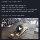 일산피티/주엽피티 ‘에스에스피트니스’ 솔직후기
