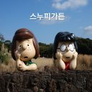 동백원건너 | 제주 스누피가든 겨울 동백꽃 입장료 할인받고 구경한 후기
