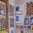 노르웨이의 숲 이미지