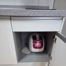 통고산자연휴양림 | 울진 통고산자연휴양림 낙엽송 아기랑 1박2일 후기