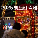 세종우체국 보행교 북측 | 세종 빛축제 2025 빛트리 축제 크리스마스 실시간 포토존 먹거리