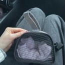 미니펫스토리 | 대구 근교 피그미 다람쥐 분양 펫엔 글라이더 구미점 분양 후기