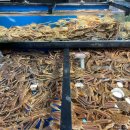 박달시장_상 이미지