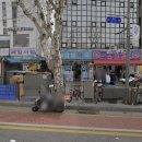 대명약국 이미지