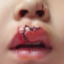보배어린이집 이미지