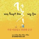 호미곶경관영농조합법인 | 포항 호미곶 유채꽃