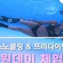 오션스타다이빙스쿨 네이버블로그