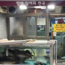 남양동성아파트 | 창원 남양동 향어맛집 내돈내산, 향어잉어천국 재재재재포장후기 | 가격, 관