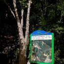 봉무공원내 이미지