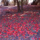 여수 퍼스트시티 호텔 | 여수 여행의 완성, 여수퍼스트시티호텔 &amp; 오동도 감성 여행 가이드