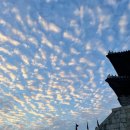 성곽공영주차장 화장실 이미지