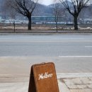 멜부 이미지