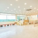 댕스럽개 이미지