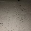 하나로13길 이미지