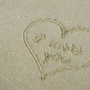 피노키오박물관(하슬라아트월드) 이미지