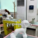 착한애견미용 이미지