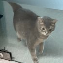 크로스핏 잭팟 | 7월 더워요.