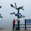 서해랑길 8코스 이미지