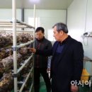 용주마을회관 이미지