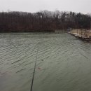 도하저수지 이미지