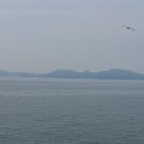 [인천 지도] 몽돌해변/연못/발전소/검지바위 이미지