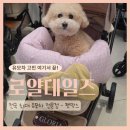 용구대로 | 용인 펫막스 로얄테일즈 글로리아 강아지 유모차 시승 후기