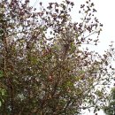 예당농장 이미지