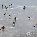 농업회사법인㈜안터마을 이미지