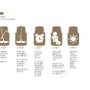 바닐라코튼 Vanilla Cotton 이미지