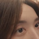 래쉬망고