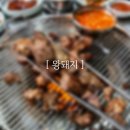 왕돼지김치찌개